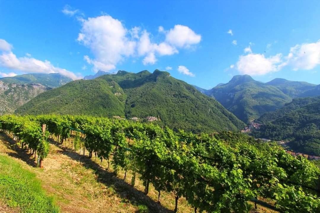 Casa Silvana * Equi Terme